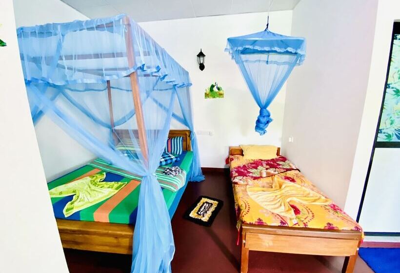 Quarto Familiar, Lotus Grand Rest