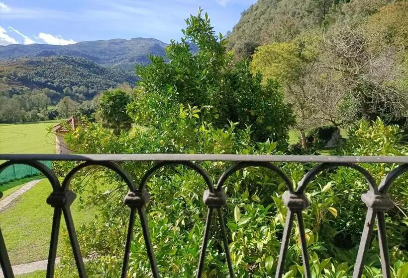 اتاق لوکس, Boutique Villa De Palacios   Palacio De Aras