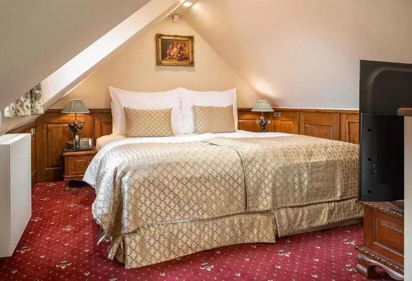 اتاق سوپریور, Iron Gate Hotel & Suites Prague by Bhg