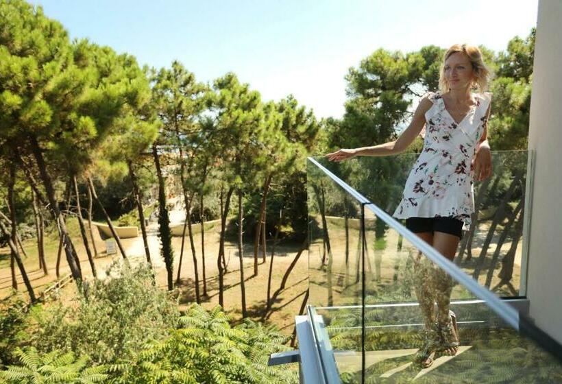 חדר סטנדרט, Krone