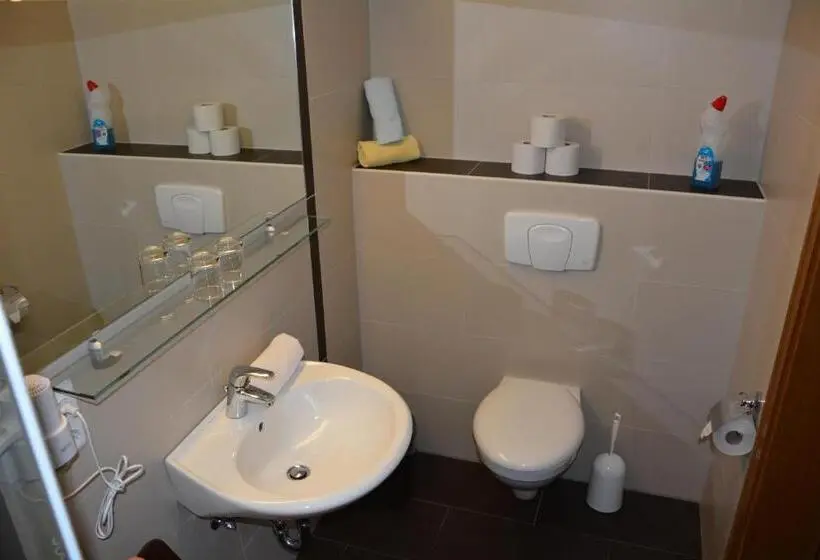 اتاق استاندارد یک نفره, Kurpension Gundula