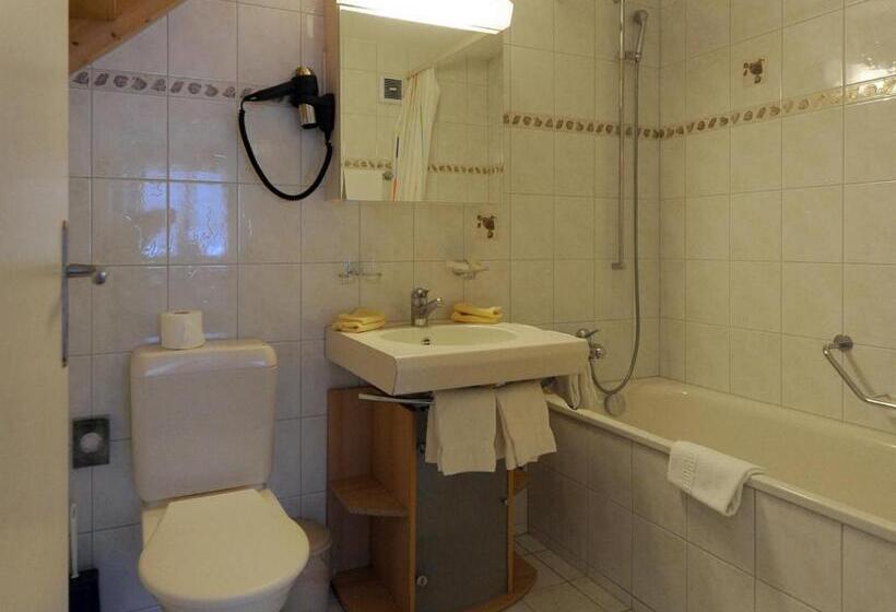 Апартаменты 3 Спальни, Serviced Apartments – Kirchbühl@home