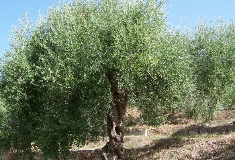 בית, חדר שינה 1, Agriturismo Don Cesarino