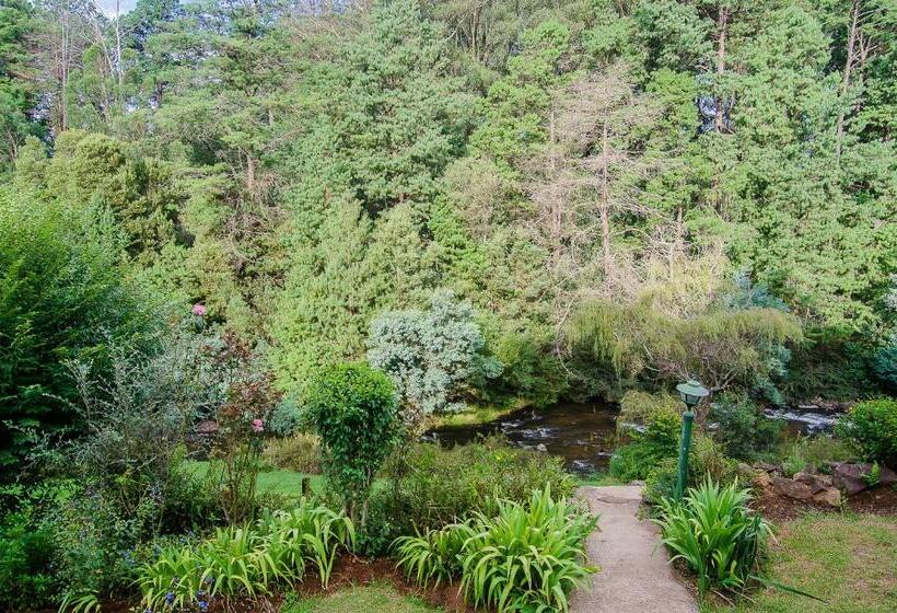 חדר סטנדרט, Hawklee Country House