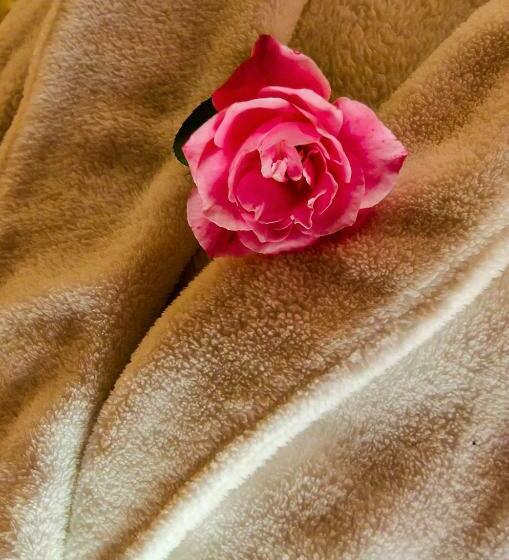 חדר סטנדרט, Hawklee Country House