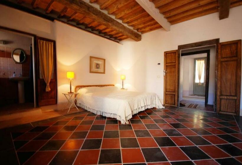 חדר סטנדרט, L'asino Vola