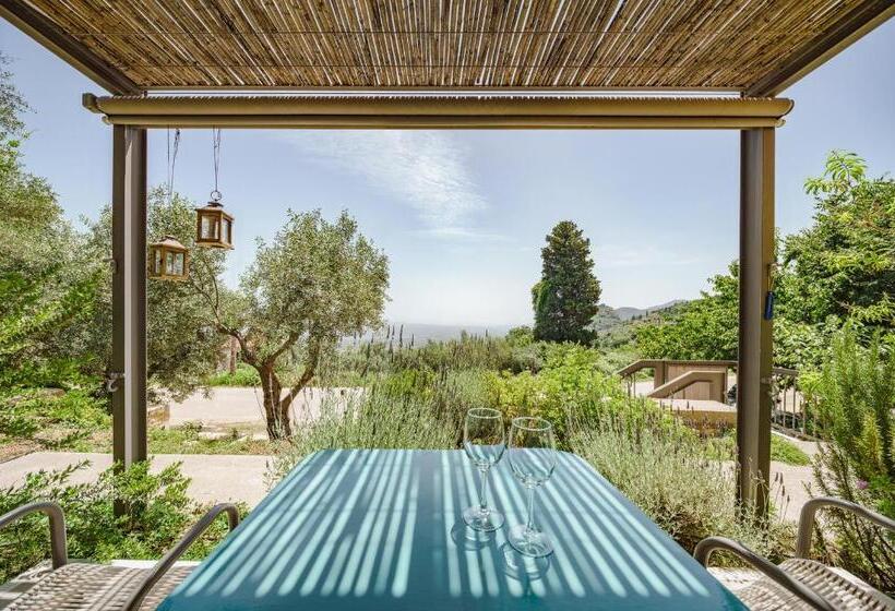 סוויטת ג'וניור עם טרסה, Mazaraki Guesthouse