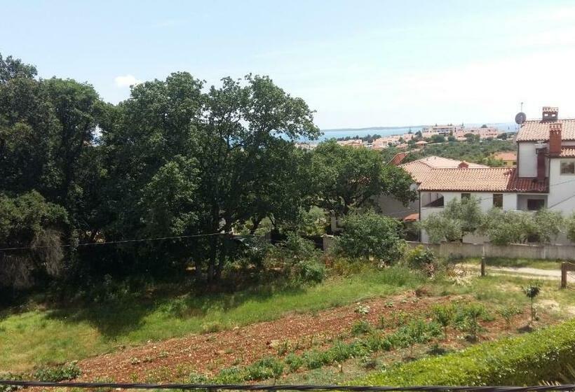 חדר סטנדרט, Villa Betiga