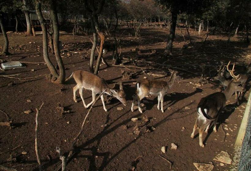 חדר סטנדרט, Villa Betiga