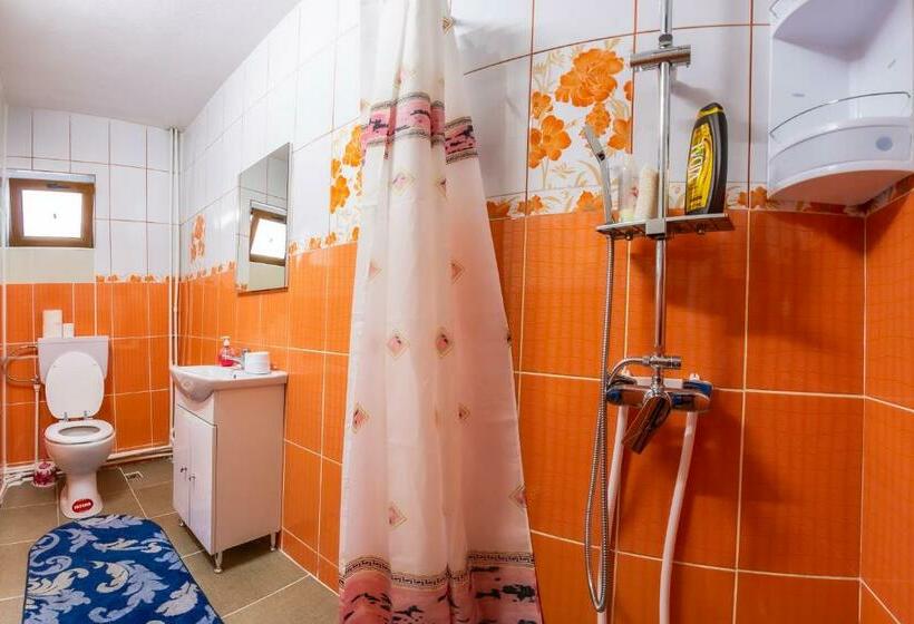 Номер Стандарт, Pensiunea Mariana