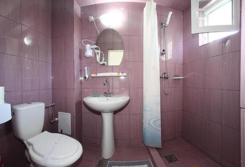 غرفة قياسية, Panos