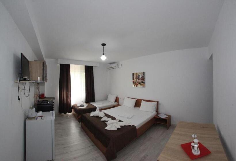 إستوديو قياسى, Panos