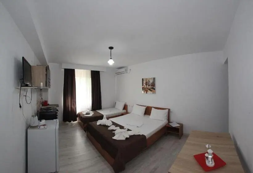 Studio Standard, Panos