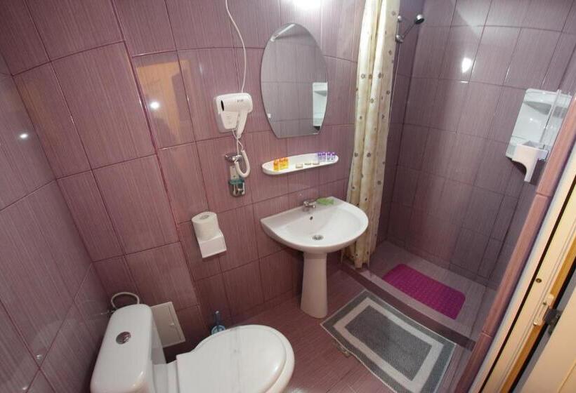 غرفة قياسية مزوَّدة بشُرفة, Panos