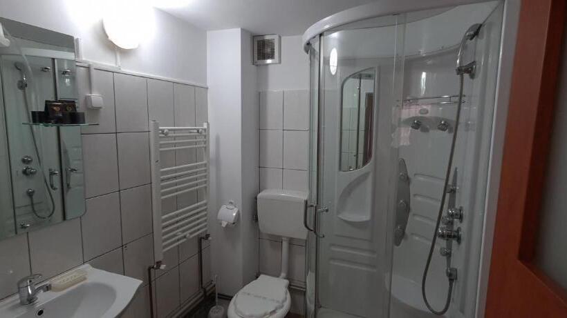 스탠다드 룸, Pensiunea Aurora  Hostel Voineasa