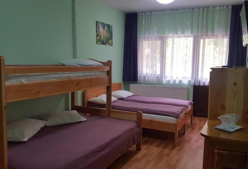 اتاق خانوادگی, Pensiunea Aurora  Hostel Voineasa