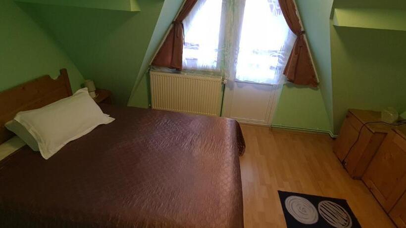 펜트하우스 룸, Pensiunea Aurora  Hostel Voineasa