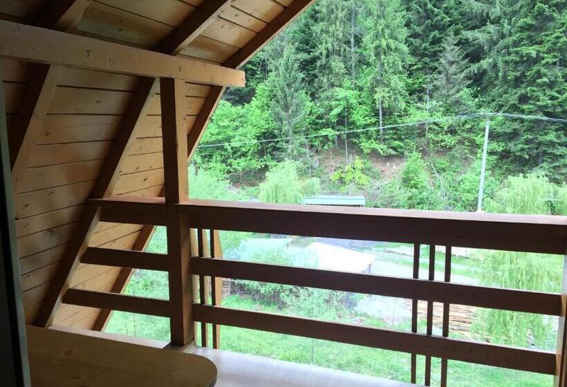 펜트하우스 룸, Pensiunea Aurora  Hostel Voineasa