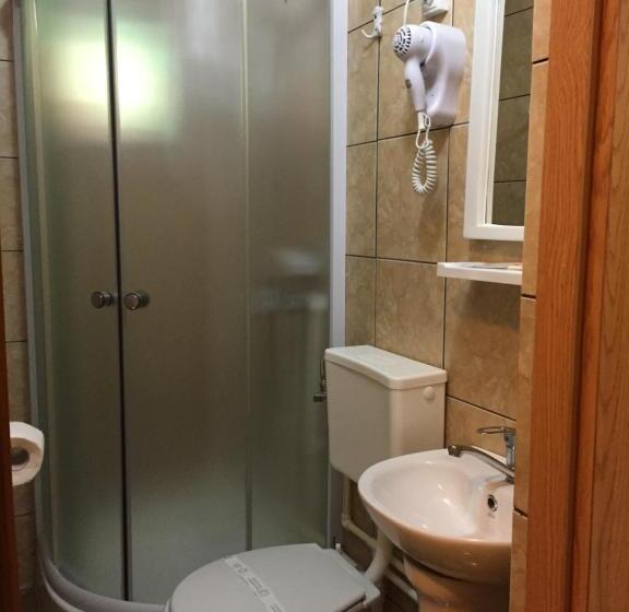 펜트하우스 룸, Pensiunea Aurora  Hostel Voineasa