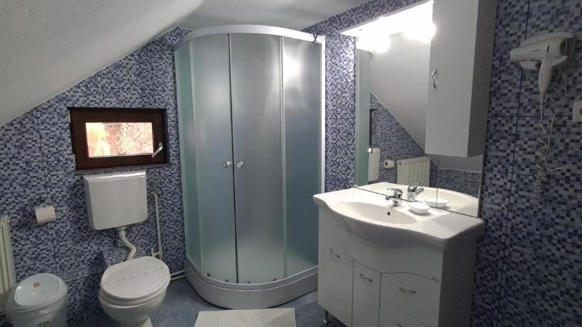 침실 1개 수피리어 아파트, Pensiunea Aurora  Hostel Voineasa