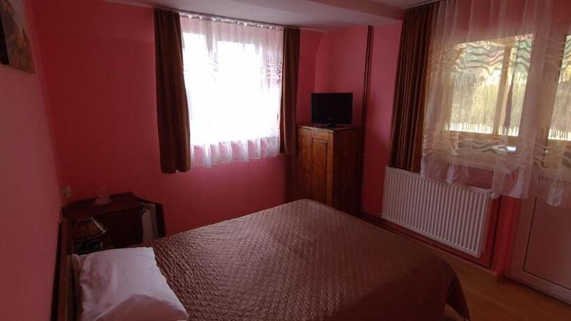 스탠다드 룸 산 전망, Pensiunea Aurora  Hostel Voineasa