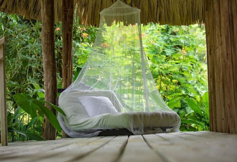 Дом 1 Спальня, Chan Chich Lodge