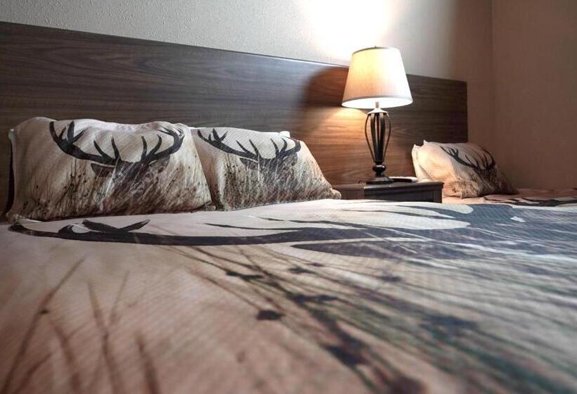 غرفة قياسية حمام مشترك, Old School Motel Rv