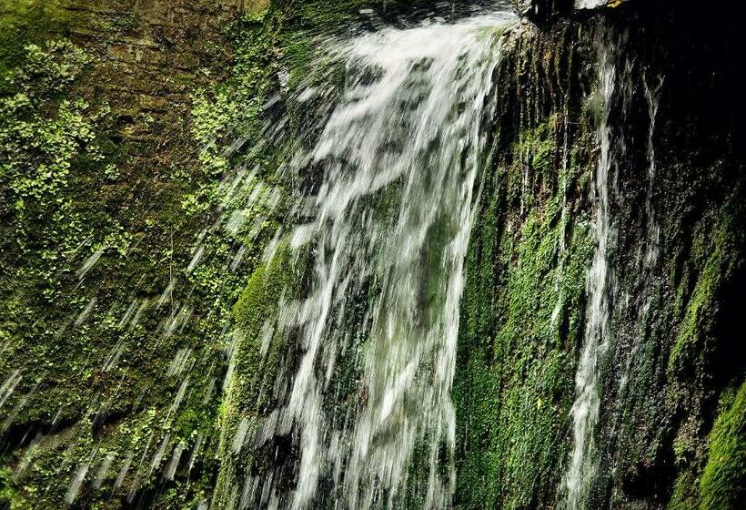 エコノミールーム, En Restaurant Kasteel Elsloo