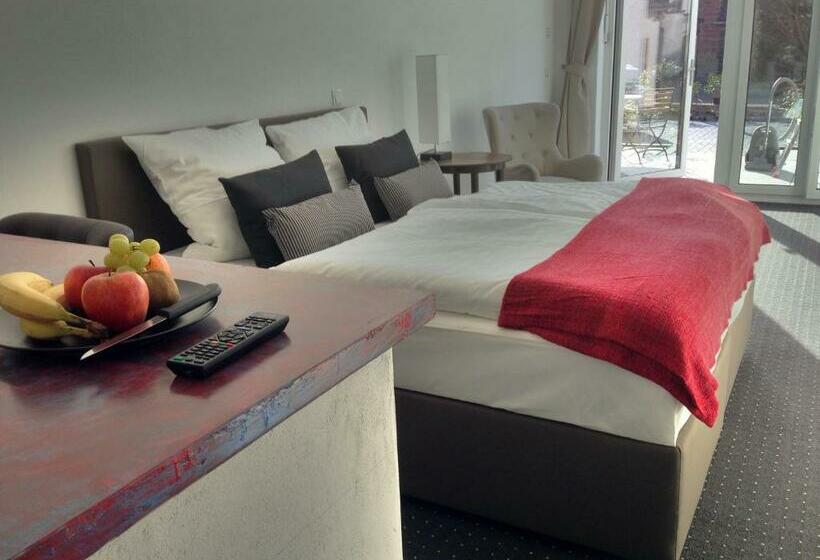 Апартаменты 1 Спальня с Террасой, Aparthotel Flughafen Leipzig