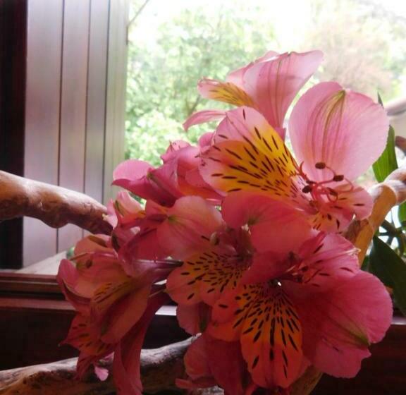 스탠다드 싱글 룸, Albergo Alla Posta