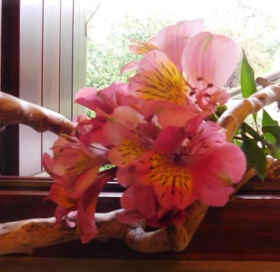 标准间, Albergo Alla Posta