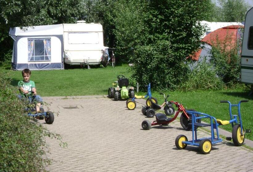 舒适型房间, Boerderij Hazenveld