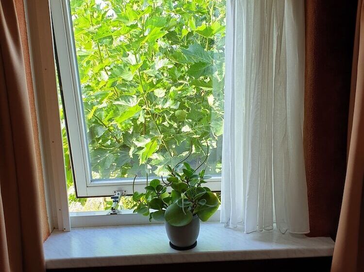 컴포트 룸, Boerderij Hazenveld