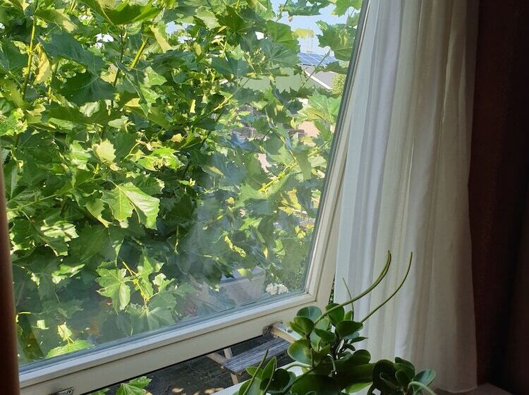 컴포트 룸, Boerderij Hazenveld