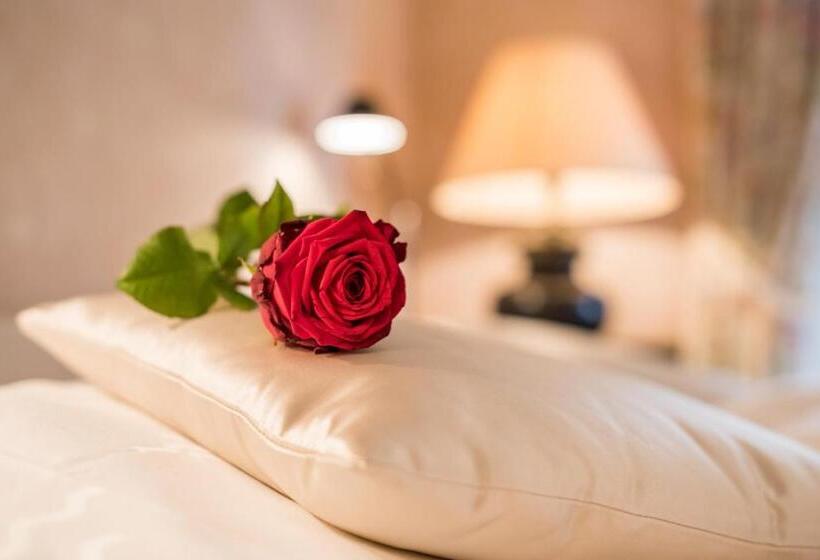 חדר סטנדרט, Kurhotel Im Park