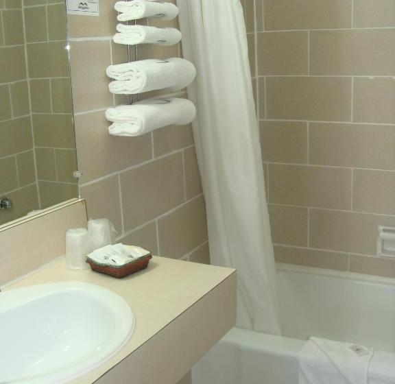 غرفه قياسيه سريرين مزدوجين, Lion Motel