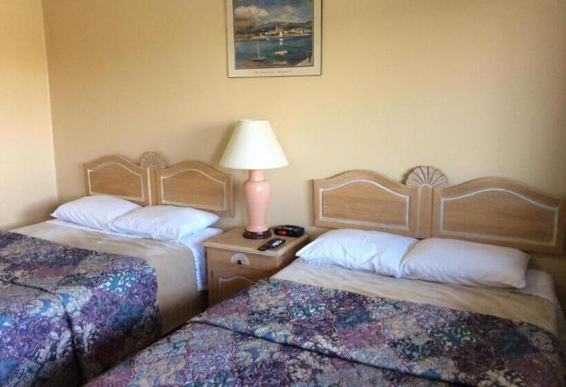 غرفه قياسيه سريرين مزدوجين, Lion Motel