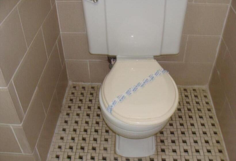 غرفة قياسية, Lion Motel