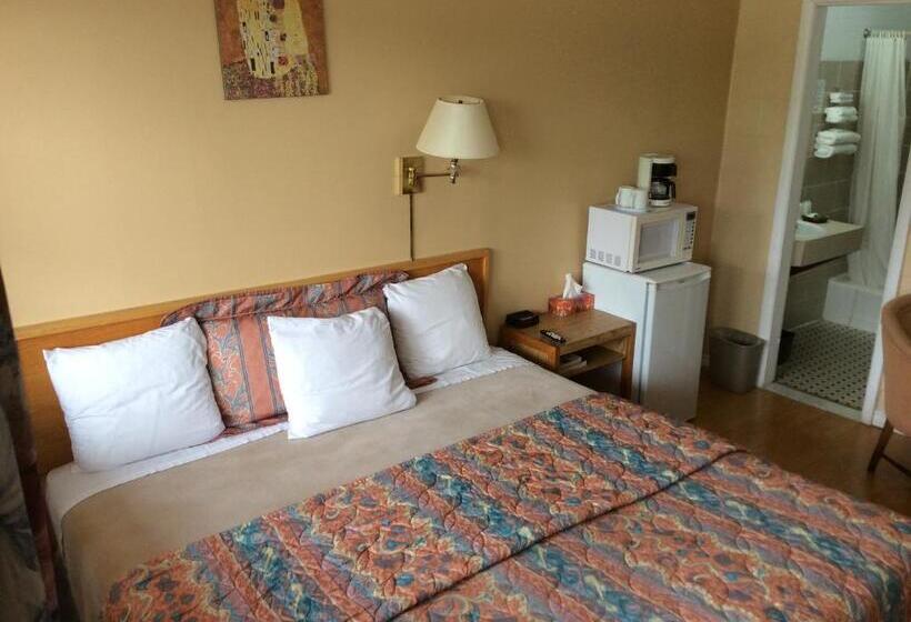 غرفة قياسية سرير كينج, Lion Motel