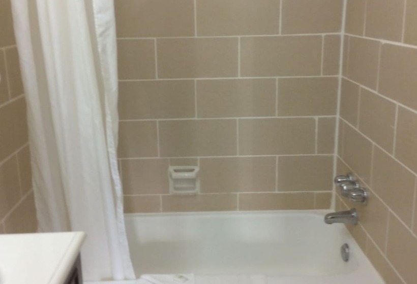 غرفه قياسيه سريرين مزدوجين, Lion Motel