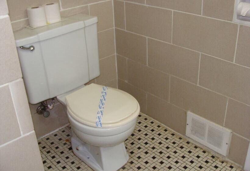 غرفه قياسيه سريرين مزدوجين, Lion Motel