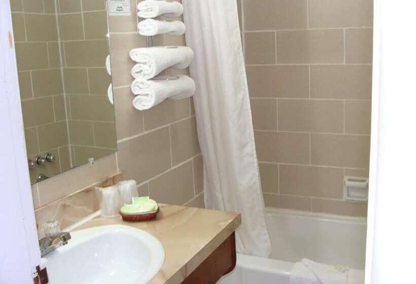 غرفه قياسيه سريرين مزدوجين, Lion Motel