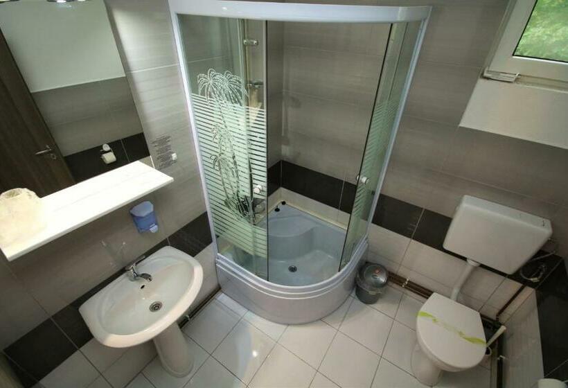 스탠다드 룸, Pensiunea Alpina