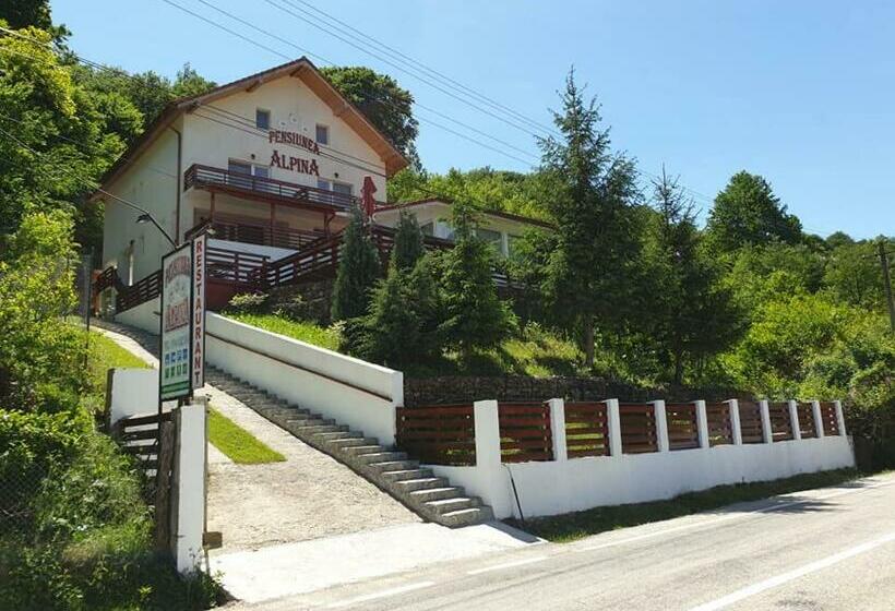 2침실 수피리어 룸, Pensiunea Alpina