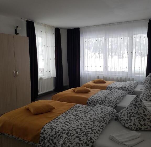 2침실 수피리어 룸, Pensiunea Alpina