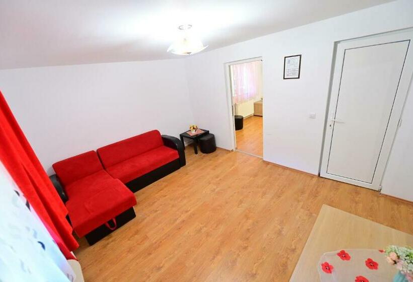 Апартаменты 1 Спальня Вид на Сад, Pensiunea Darian & David