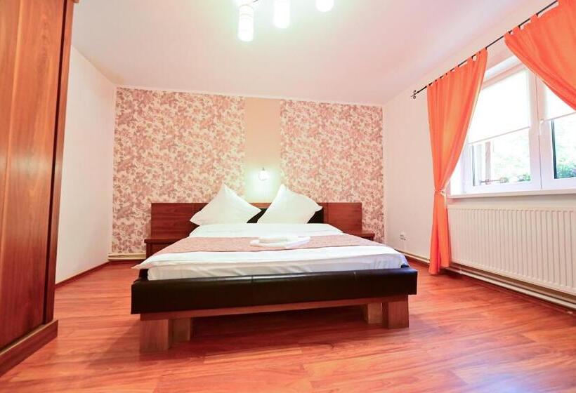 Апартаменты 1 Спальня Нижний Этаж, Pensiunea Darian & David