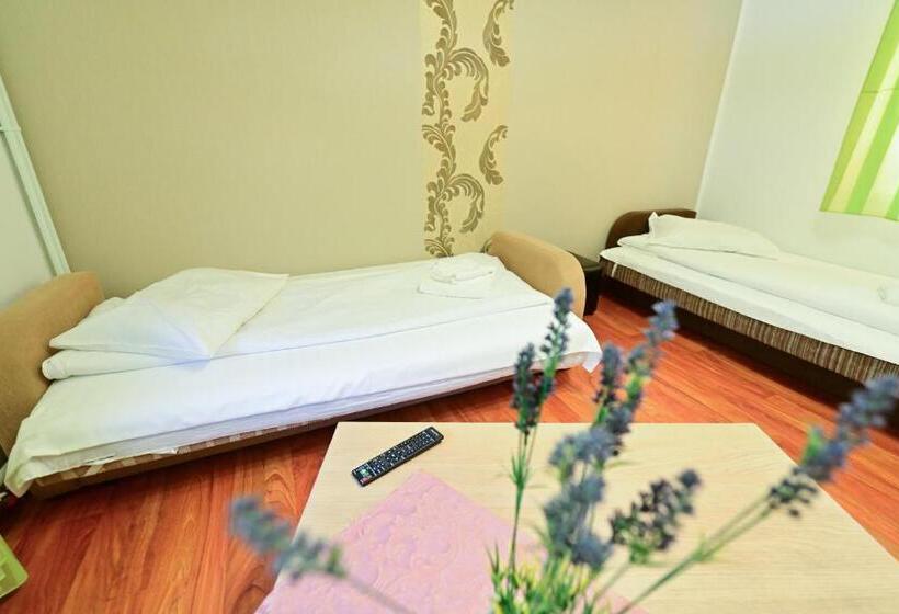 Апартаменты 1 Спальня Нижний Этаж, Pensiunea Darian & David