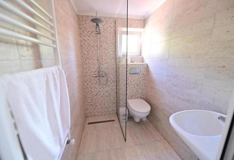 Апартаменты 1 Спальня Нижний Этаж, Pensiunea Darian & David