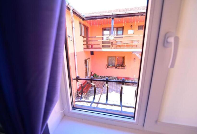 Апартаменты 1 Спальня, Pensiunea Darian & David